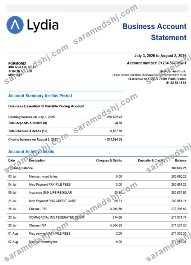 Lydia Noir bank business firm account statement Word snd PDF format